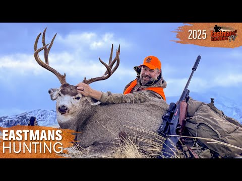 Видео: Охота на БОЛЬШИХ оленей в ноябре | Олень-мул в Монтане (Eastmans Hunting TV)