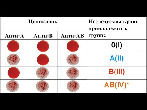 Видео: Определение группы крови и резус принадлежности цоликлонами