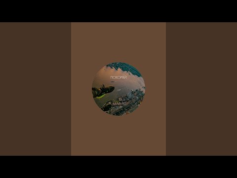 Видео: свара в прямом эфире!