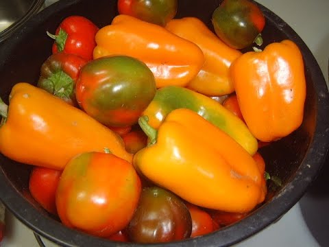 Видео: Салат из перца с фасолью. Маринкины творинки. Всем МИРА и Добра!