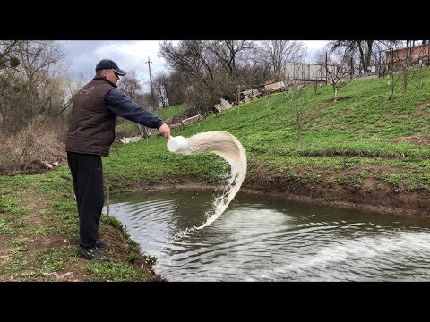 Видео: Известкование пруда с рыбой. Полезно или нет. Как, когда и зачем вносить известь в пруд.