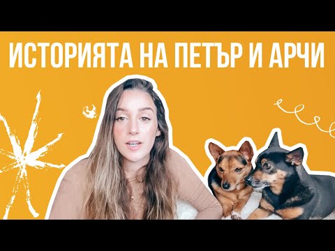 Видео: Цялата история на Петър и Арчи | Животът с куче