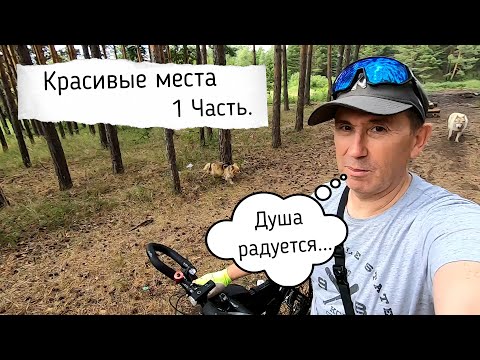 Видео: Велотрип по красивым местам Нолинка, Ближний Ямаш Ч 1