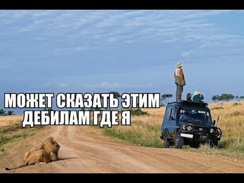 Видео: Конфликт с заказчиком