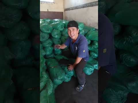 Видео: явандаман кумир сотаяпман