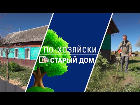 Видео: ВАУ! Дом по ЦЕНЕ ПИЦЦЫ//Новая жизнь старого ФАПА//По-хозяйски