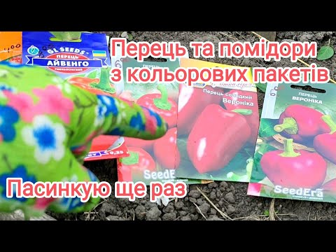 Видео: Прийшла дивитись, що росте з кольорових пакетів і продовжую пасинкувать.