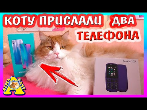 Видео: КОТУ ПРИСЛАЛИ ДВА ТЕЛЕФОНА / РАСПАКОВКА ОГРОМНОЙ ПОСЫЛКИ / Alisa Easy Pets