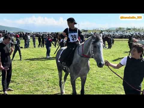 Видео: Скачки в С Дылым, 09.05.2025 4800м