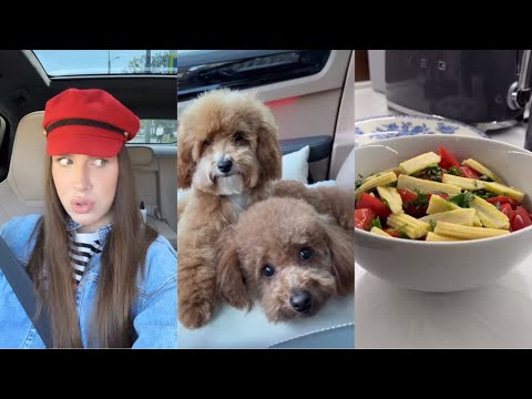 Видео: День Алексея Жидковского / 17 мая / Подстригли собак / История с почты / Ужин