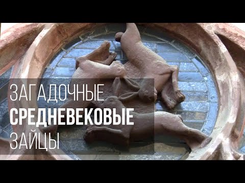 Видео: Загадочные средневековые зайцы