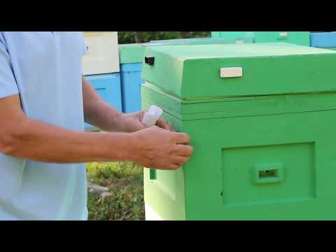 Видео: Содержание пчел в полиуретановых ульях.