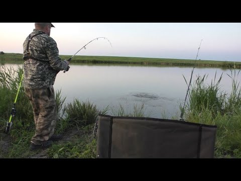 Видео: УЖИН НА КОСТРЕ. РЫБАЛКА С НОЧЕВОЙ.