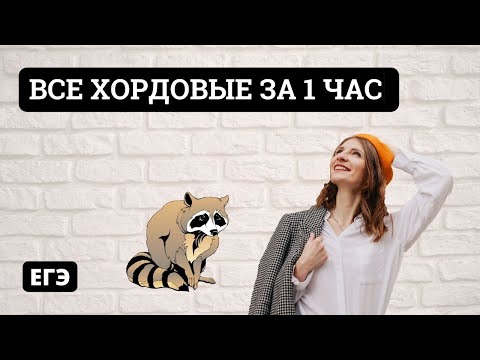 Видео: Все Хордовые за 1 час | Биология ЕГЭ