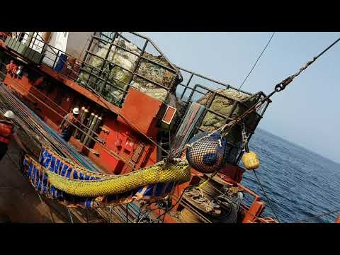 Видео: БАТМ Выборка трала...