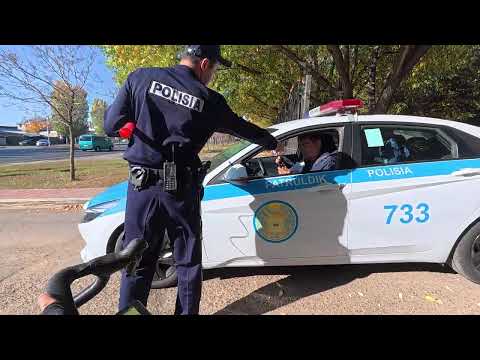 Видео: Астана Алтын Күз 25.09.2025