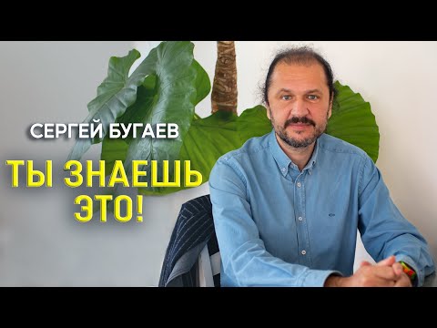 Видео: Ты знаешь это! Дзенские мастера направляют к сути самого себя