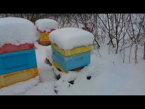 Видео: Какой улей лучше, ППС или ППУ | Улей ППУ и ППС сравнение на теплопотери