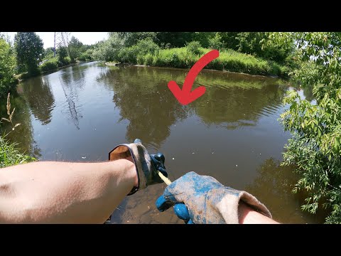 Видео: Как Заработать Денег за Час на Поисковый Магнит