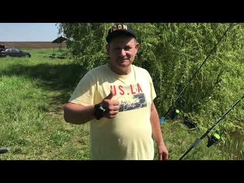 Видео: Ловля толстолобика весной .