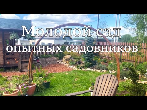 Видео: Сад Татьяны Безменовой и Мераба Мегреле. Серия: Сады заказчиков Кью.