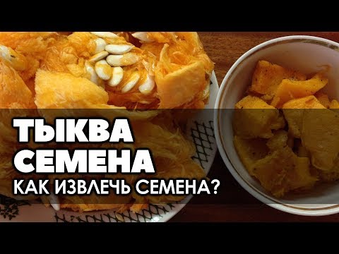 Видео: 🌿 Как быстро отделить тыквенные семечки от мякоти