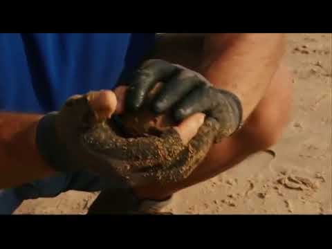 Видео: Ловля Подлещика и Окуня на болонез с Нормундом Грабовскисом