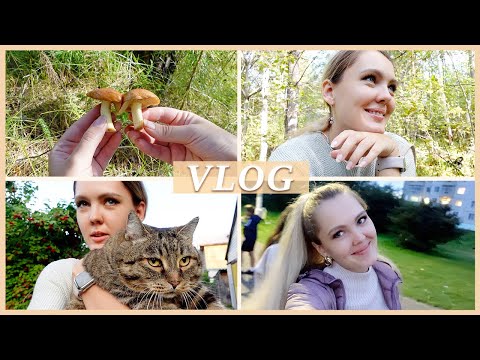 Видео: ЗА ГРИБАМИ 🍄 ГАСТРОНОМИЧЕСКИЙ ВЕЧЕР | ОТВЕТЫ НА ВОПРОСЫ