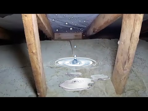 Видео: МОКРЫЙ УТЕПЛИТЕЛЬ И СЫРЫЕ СТРОПИЛА НА ХОЛОДНОМ ЧЕРДАКЕ. ЧТО ДЕЛАТЬ?