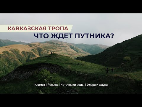 Видео: Что ждет путника