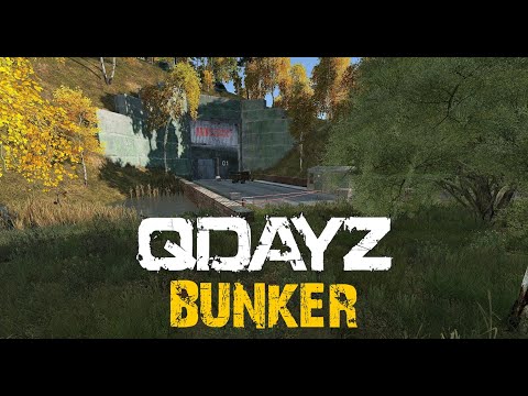 Видео: ТОП серверов DayZ. Описание сервера QDAYZ VANILLA++