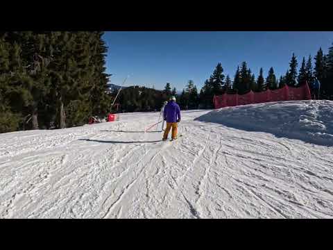 Видео: Pamporovo 19.01.25 г.