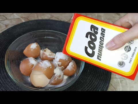 Видео: Насыпай Соду в Яичную Скорлупу Результат Невероятный Получай #совет