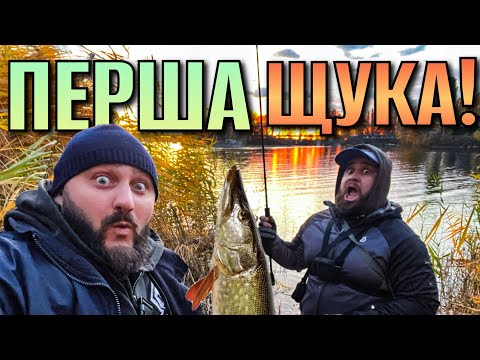 Видео: Вона клюнула! У пошуках щуки на річці Дніпро