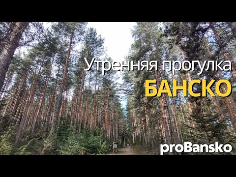 Видео: Прогулка утро в Банско Болгария Разговор о населении Банско