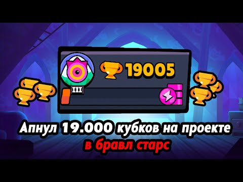 Видео: Апнул 19.000🏆 на проекте 365 дней в бравл старс🔥