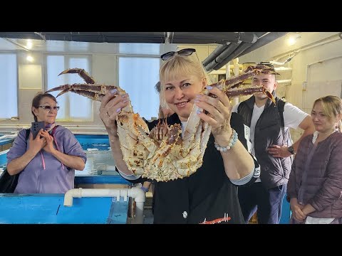 Видео: Мореферма в бухте Воевода, остров Русский.