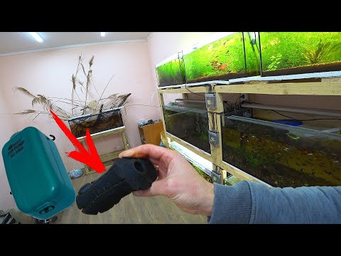 Видео: Нужна ли аэрация в аквариуме с фильтром