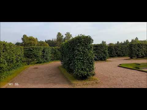 Видео: Нижний парк и дворец Меншикова в Ораниенбауме, которые были закрыты для посещения более 85 лет