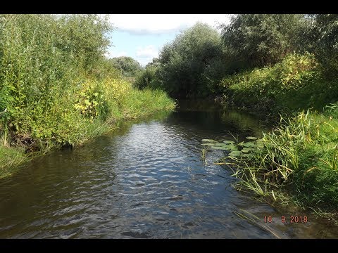 Видео: Ловля мелкого окуня в ручье на Fishup stonefly, Tanta, Fancy Crube и другие.