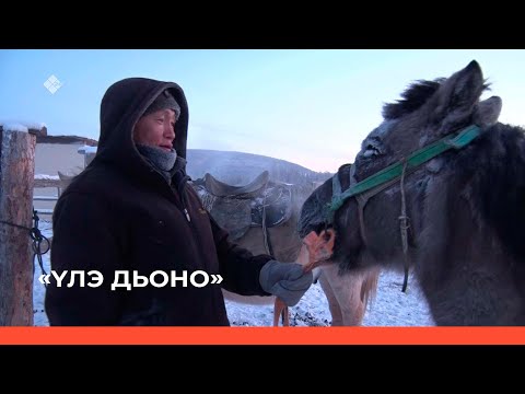 Видео: «Үлэ дьоно» (12.02.23)