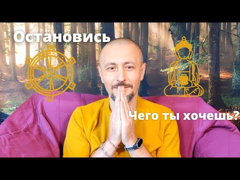 Видео: "Не нужно ничего делать специально. Остановись. Чего ты хочешь?"  Сатсанг ● Интенсив● Андрей Тирса