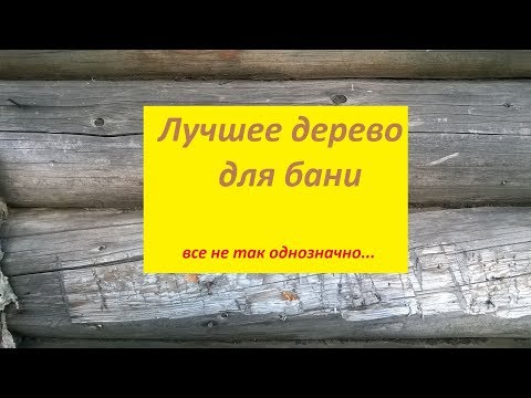 Видео: Какое дерево лучше для бани? Все не так однозначно