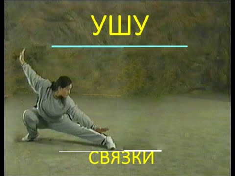 Видео: Ушу-таолу  (связки), 武術
