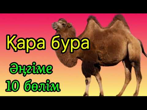 Видео: Қара бура / Әңгіме / Асқар Алтай