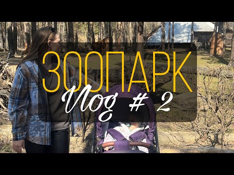 Видео: Vlog 2 | семейный поход в зоопарк | готовлю окрошку | говорим о прикорме | одежда для новорожденных