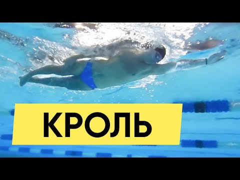 Видео: ТЕХНИКА ПЛАВАНИЯ КРОЛЬ: КАК НАУЧИТСЯ ПЛАВАТЬ