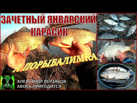 Видео: А порыбалимка 2/21г. Зачетный январский карасик.