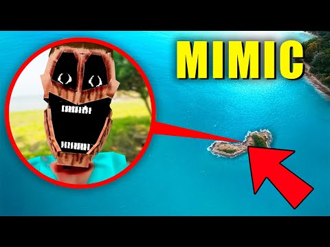 Видео: мой дрон снял МИМИКА в Реальной Жизни!
