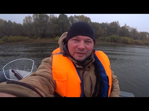Видео: Судак и щука на спиннинг! Рыбалка на Оке 2025! Рыбалка на спиннинг!